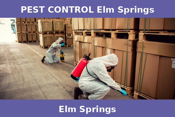 PEST CONTROL Elm Springs